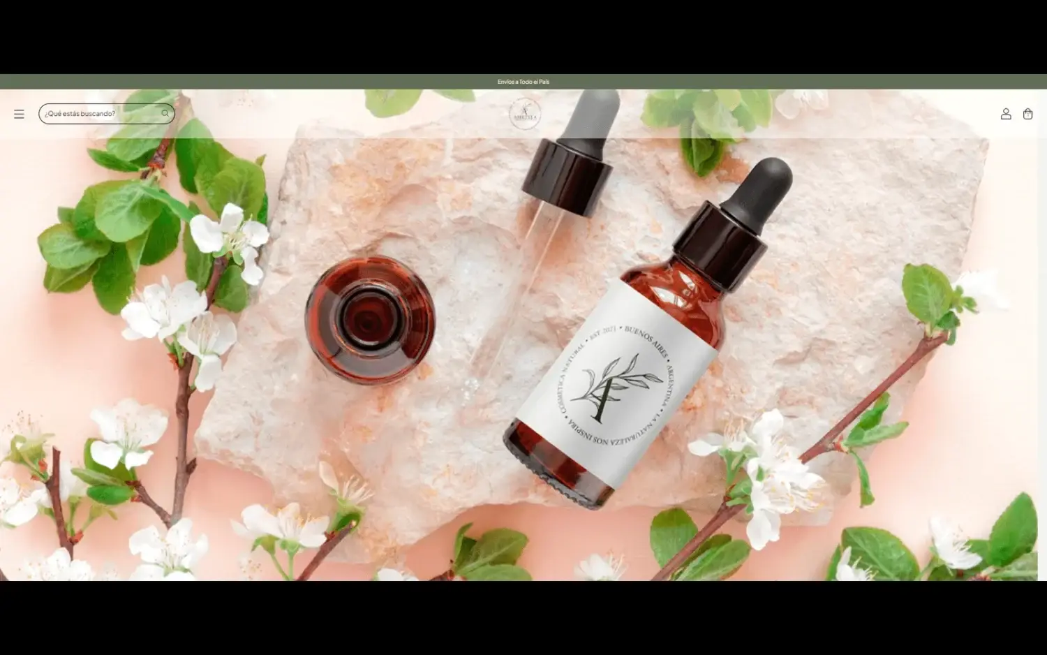Ametlla Natural — portada