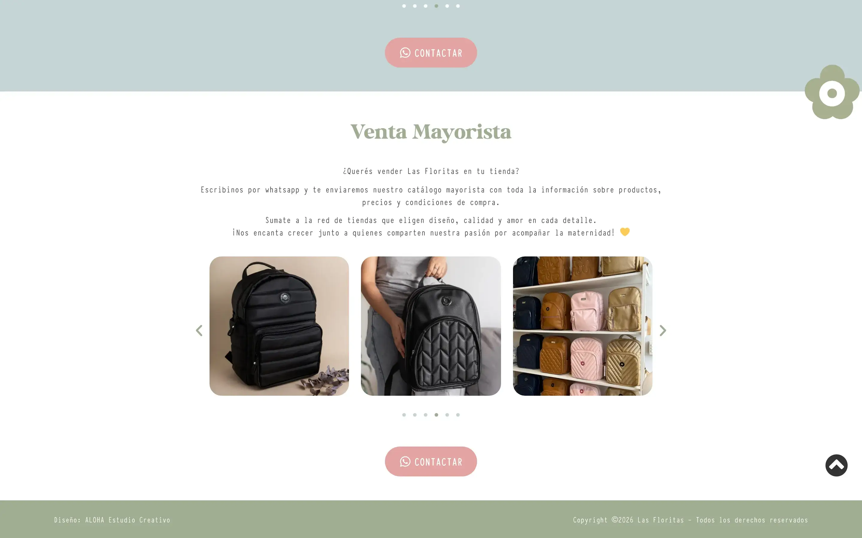 Venta Mayorista · texto de catálogo + botón WhatsApp (propósito de la landing)