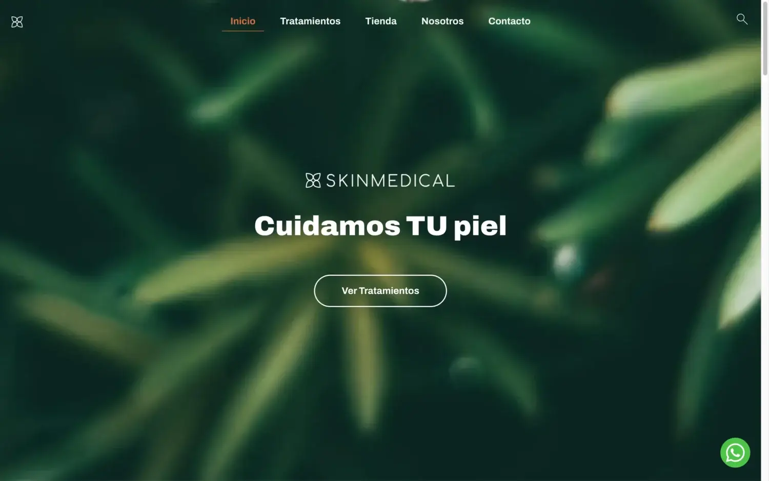 Skin Medical Dermatología — desktop
